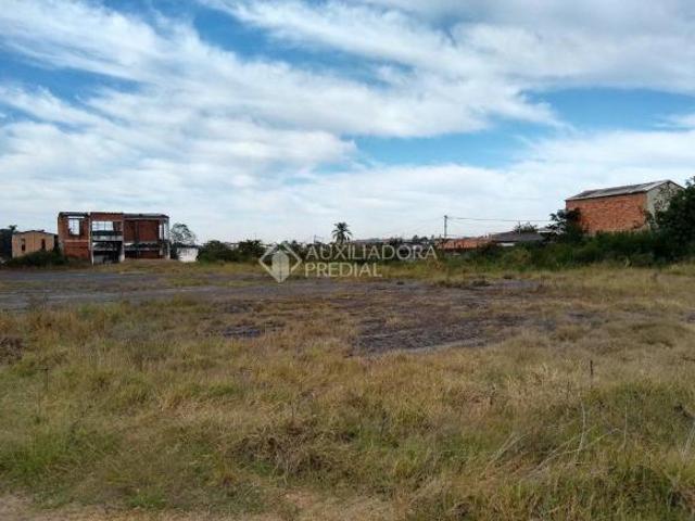 Terreno no bairro Maria Regina