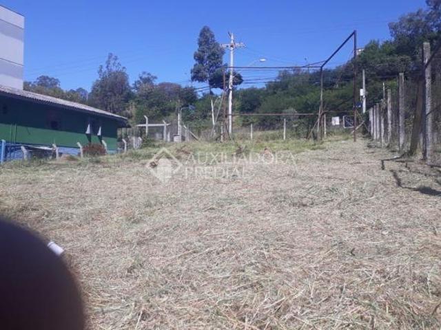 Terreno no bairro Mauá