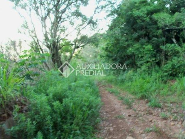 Terreno no bairro Moreira