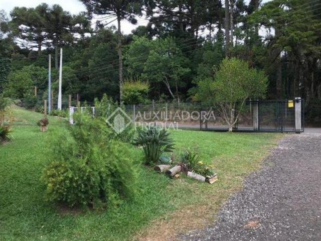 Terreno no bairro Moura
