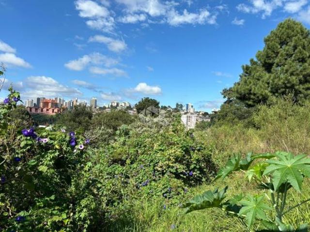 Terreno no bairro Nossa Senhora de Fatima em Caxias do Sul