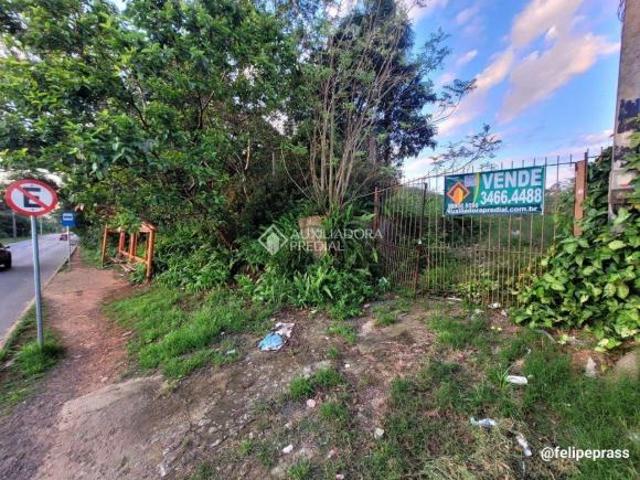 Terreno no bairro Olaria