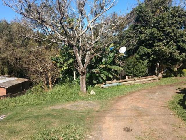 Terreno no bairro Olaria