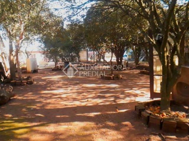 Terreno no bairro Olaria