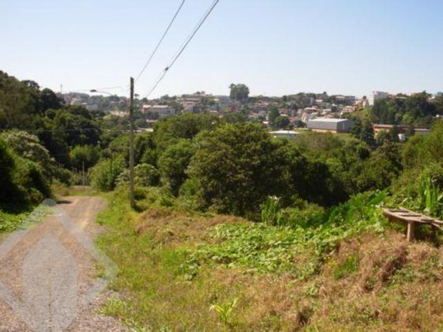 Terreno no bairro Panazzolo