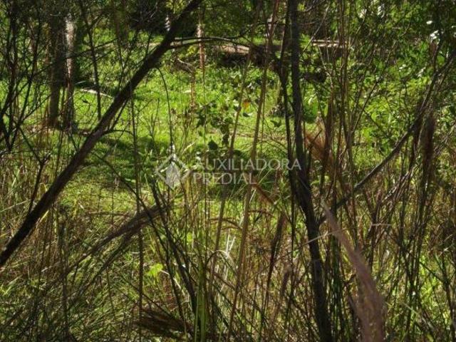 Terreno no bairro Parque Eldorado