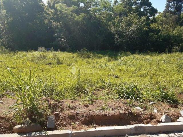 Terreno no bairro São Caetano