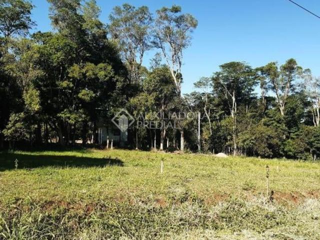 Terreno no bairro São Caetano