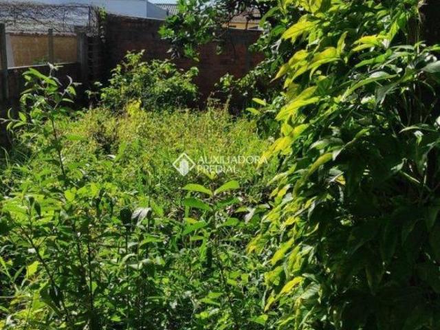 TERRENO NO BAIRRO SÃO JOÃO EM MONTENEGRO