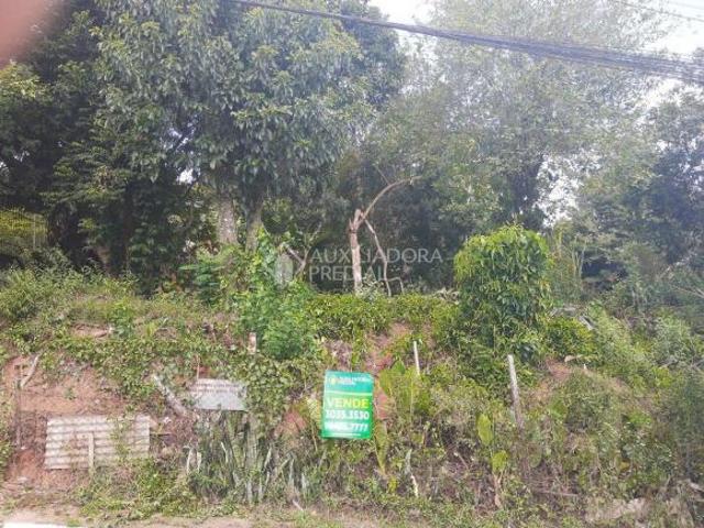 Terreno no bairro São Jorge