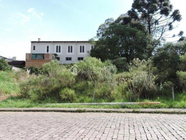 Terreno no bairro São Leopoldo