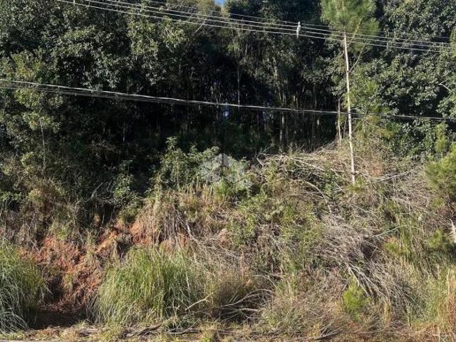 Terreno no bairro Santo Antão Loteamento Copat II