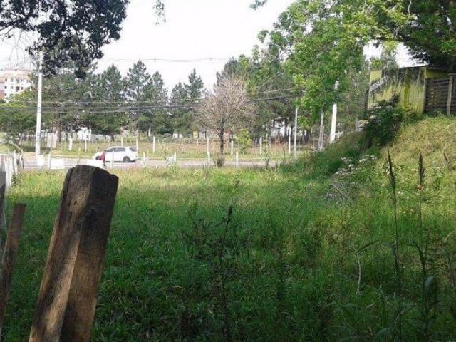 Terreno no bairro Sarandi