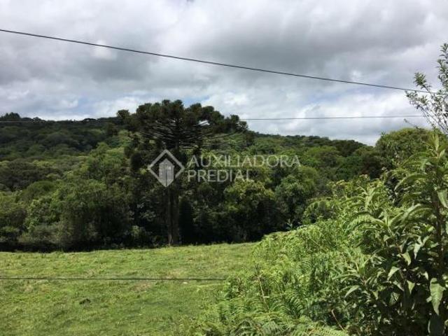 Terreno no bairro Serra Grande