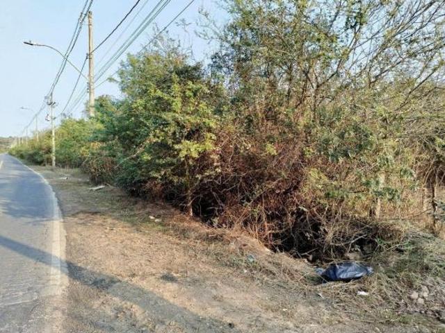 Terreno no Bairro Serraria com 20.250m²