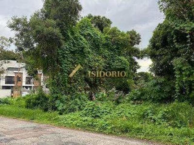 TERRENO NO BARREINHA! 595m² DE ÁREA TOTAL