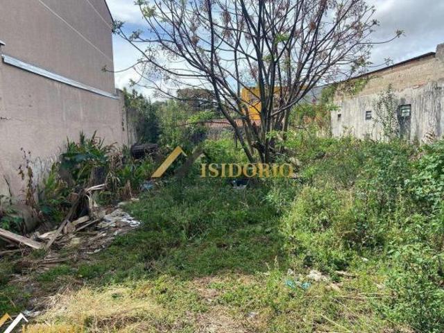 TERRENO NO CAPÃO RASO! 420m² DE ÁREA TOTAL, PARA INVESTIDORES