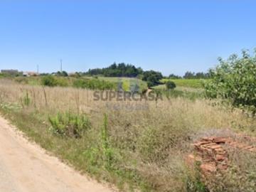 Terreno no Carvalhal