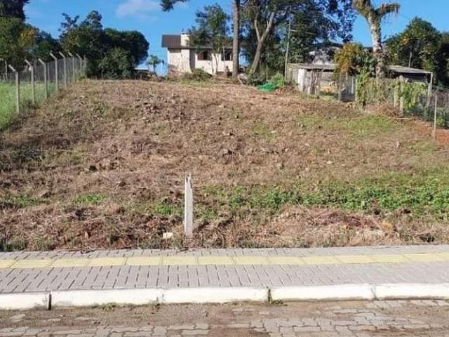 Terreno no Centro de Arvorezinha