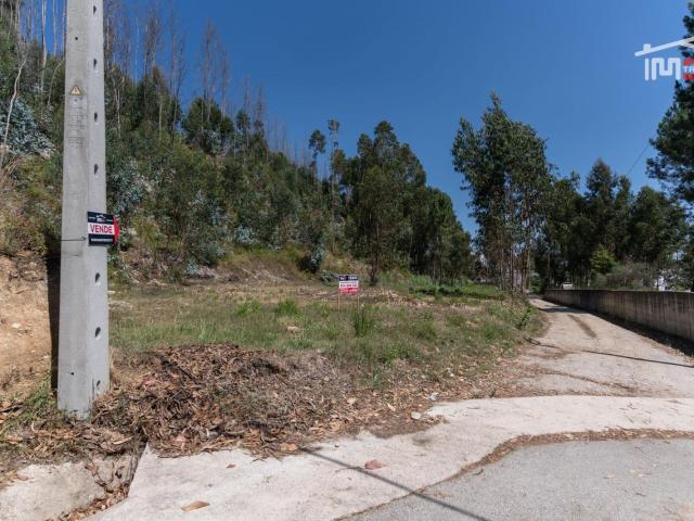 Terreno no centro de Caxarias com 769,77 m2