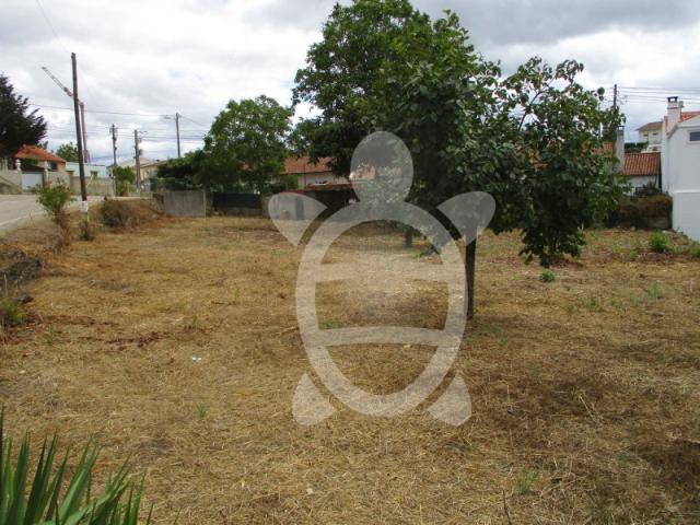 Terreno no centro de Cernache