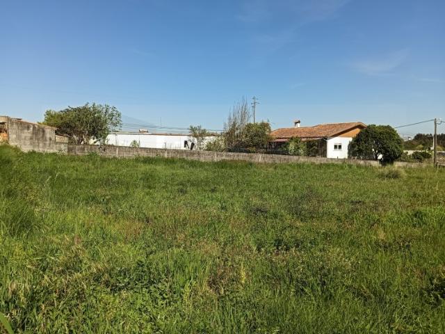 Terreno no Centro de Oiã 15,50m de Frente