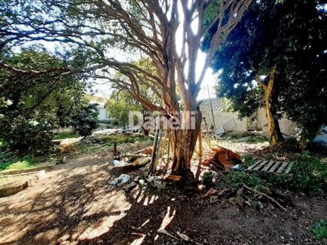 Terreno no Centro de Quiririm Oportunidade