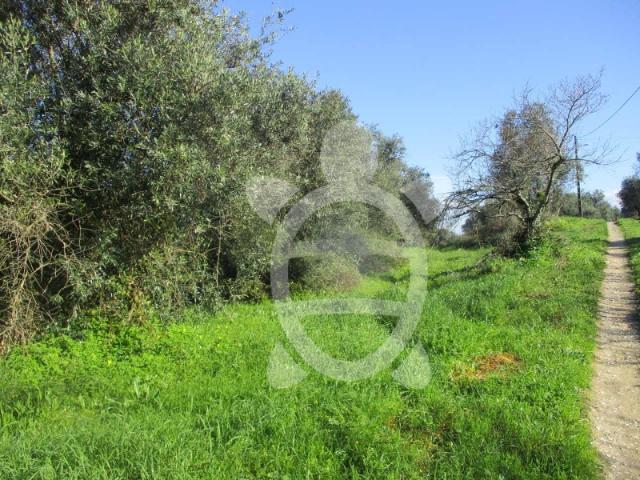 Terreno no Cercal
