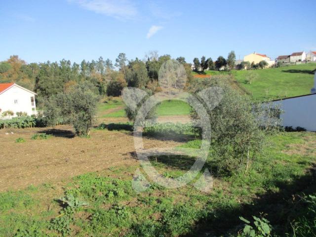 Terreno no Cercal Soure