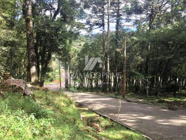 TERRENO NO CONDOMÍNIO PINHEIRO GROSSO EM CANELA!