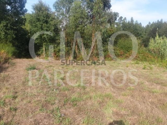 Terreno no coração de Oliveira do Bairro