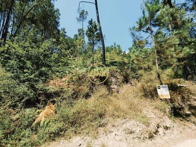 Terreno no Gerês para Venda