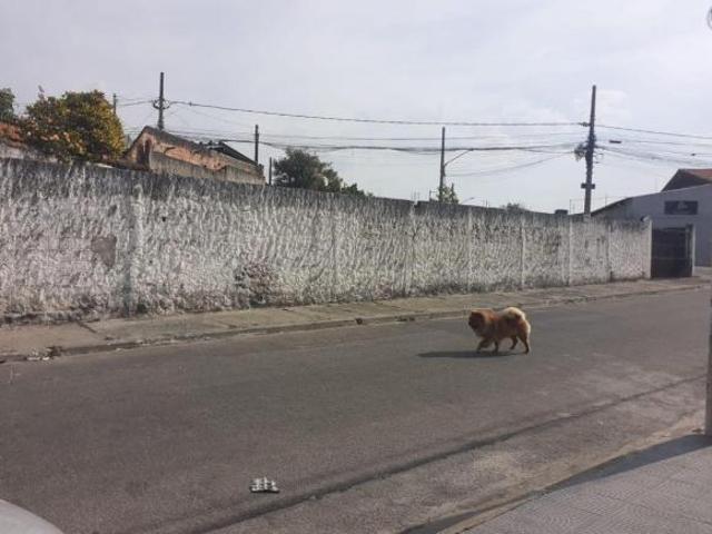 TERRENO NO JARDIM DAS OLIVEIRAS