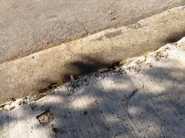Terreno no Jardim Marisa à venda na Avenida Avelino Ginjo