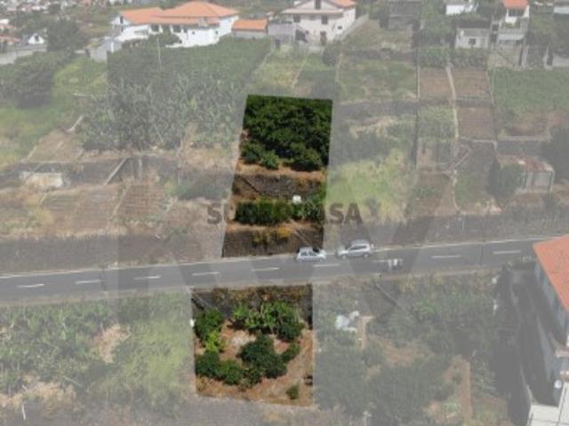 Terreno barato na calheta