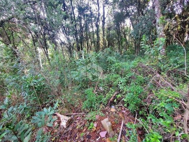 Terreno No Loteamento Reserva Grasselli