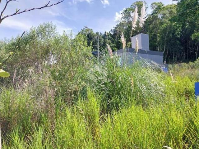 Terreno no Loteamento Residencial Reserva Palmeiro
