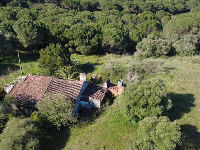Terreno no Parque Natural da Arrábida m² Azeitão São Lourenço e São Simão
