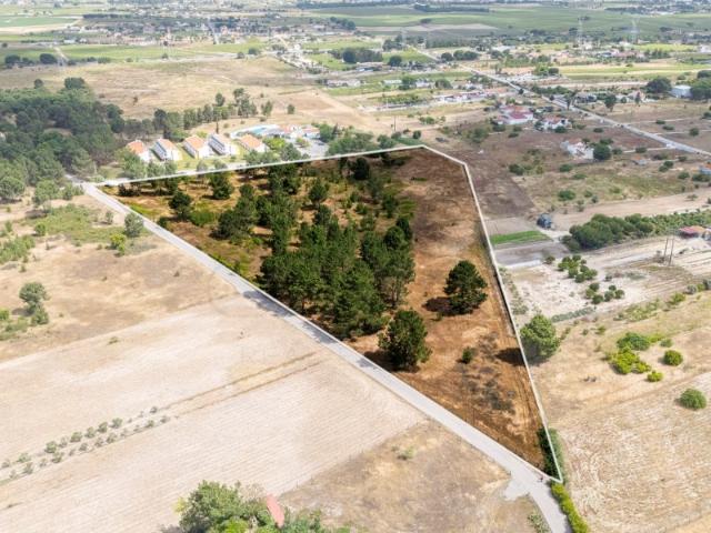 Terreno no Poceirão para investimento