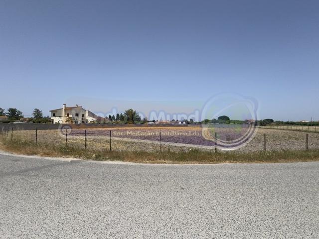 Terreno no Porto Alto PALT365