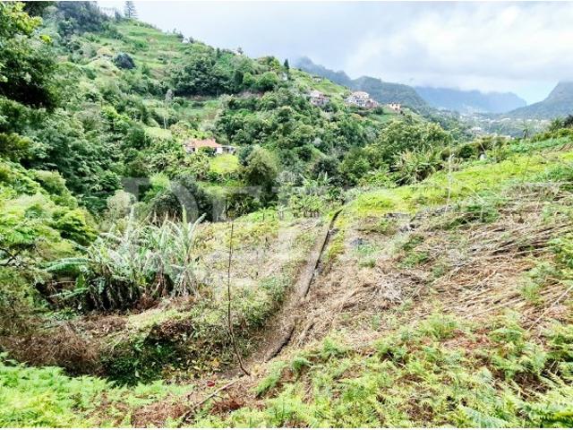 Terreno no Porto da Cruz Norte da Ilha da Madeira
