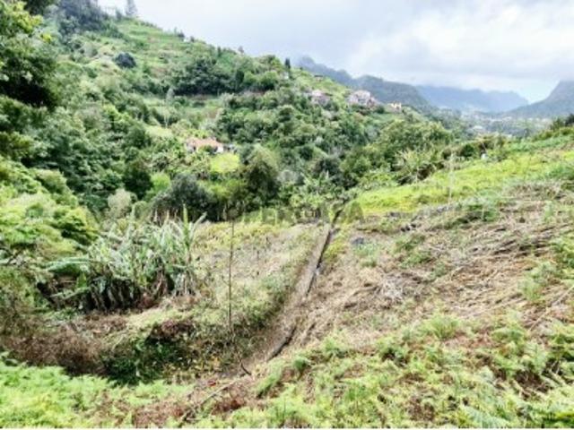 Terreno no Porto da Cruz Norte da Ilha da Madeira