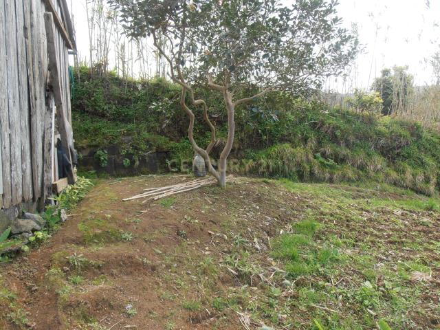Terreno no Porto Formoso A três minutos da fábrica do chá