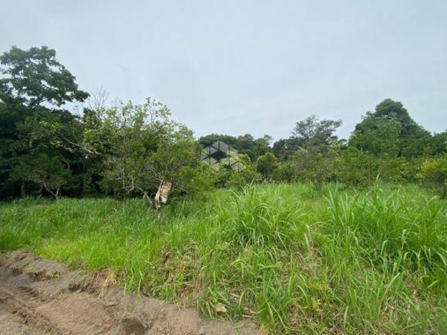 Terreno no Renascença