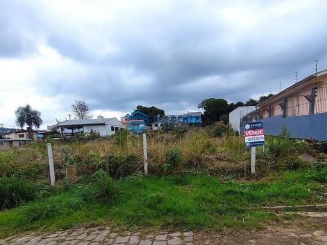 TERRENO NO SÃO LUIZ COM 440m²