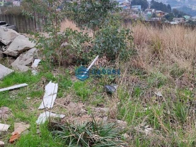 TERRENO NO SALGADO FILHO