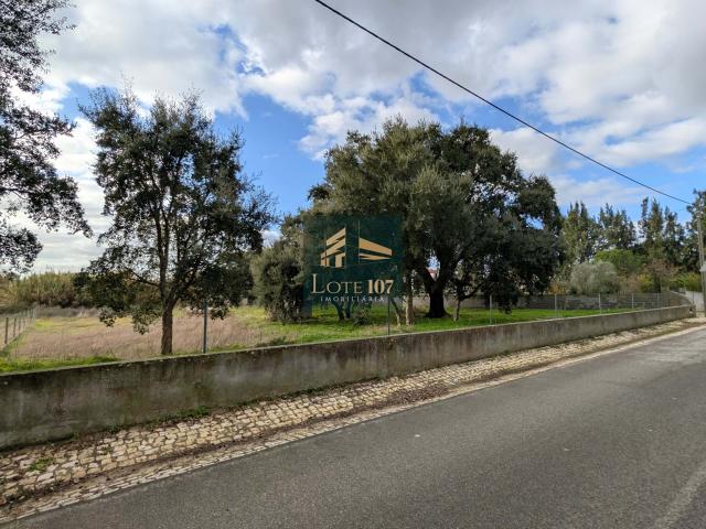 Terreno Urbano em Pinhal Novo