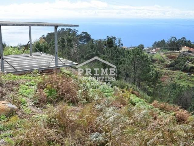 Terreno Nogueira, Camacha