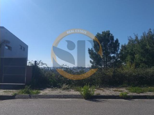 Terreno Nogueira do Cravo Oliveira de Azeméis