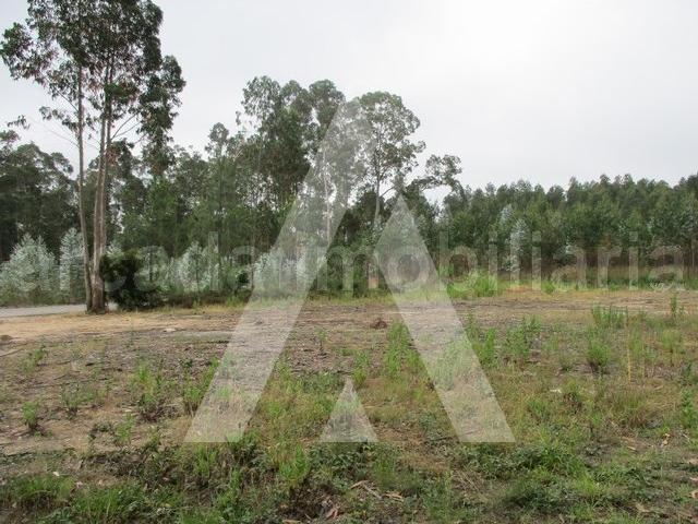 Terreno nos arredores de Oliveira do Bairro